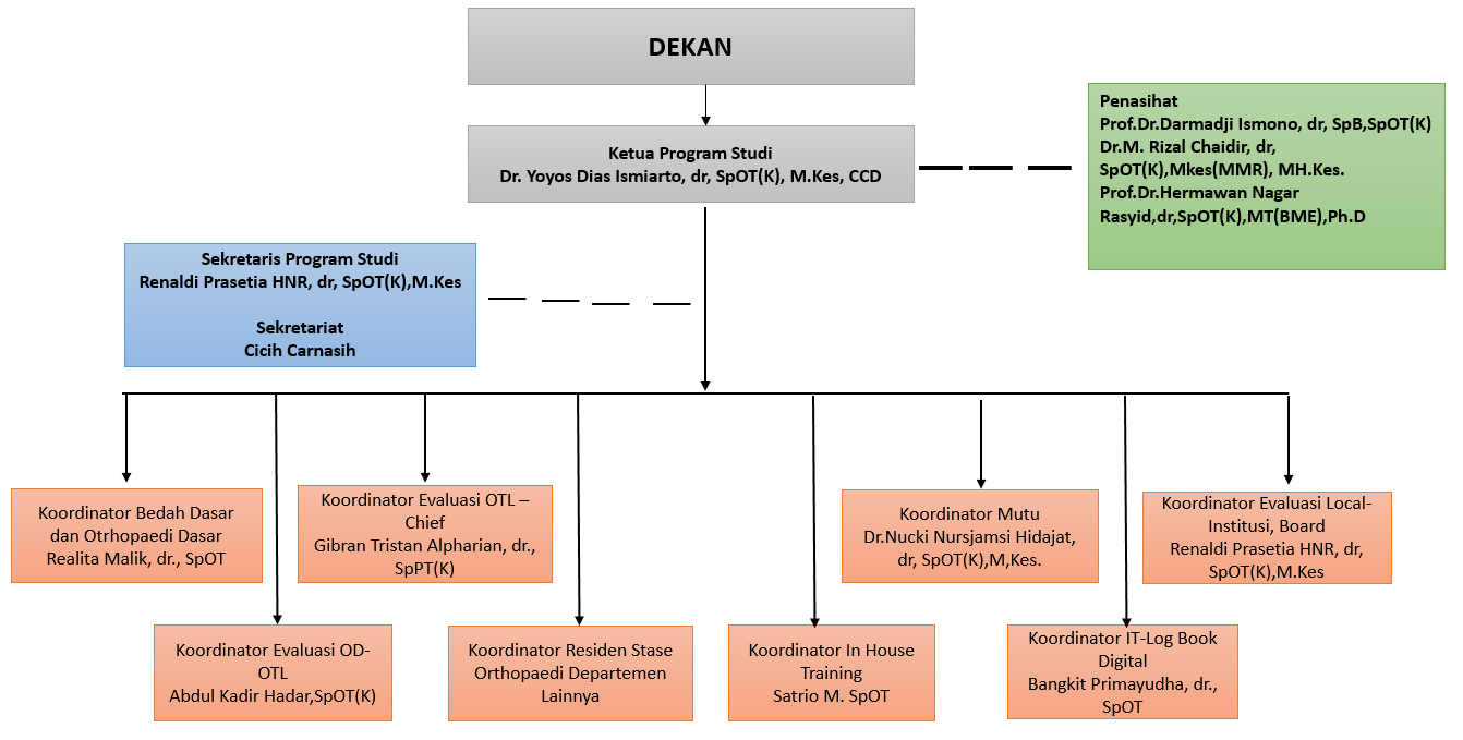 ortho struktur organisasi