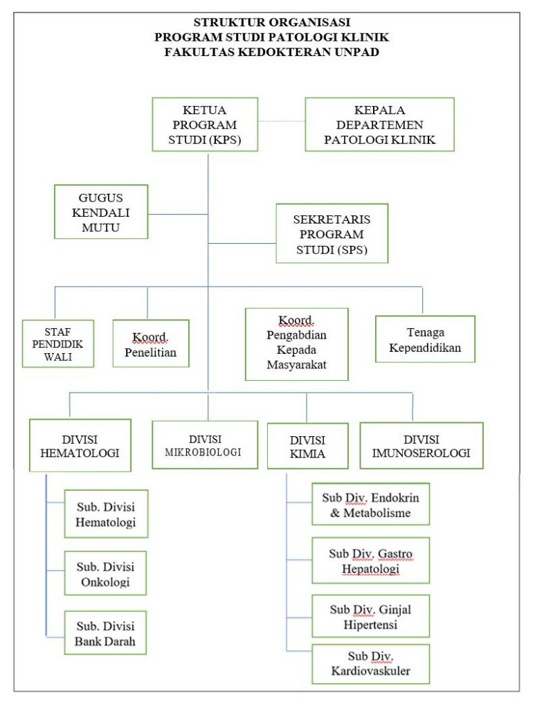 sp1 patklin struktur organisasi