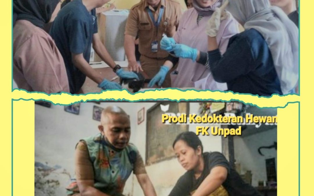 Warga Senang DKPP Bandung Adakan Vaksin Rabies Secara Door to Door, Ini Ciri Hewan yang Kena Rabies