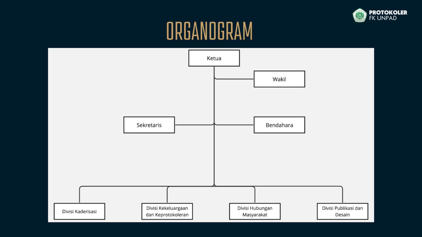 organigram protokoler