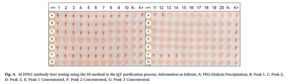 From Egg Yolk to Virus Detection: Unpad Researchers Develop Affordable Antibody Source for Bird Flu Diagnostics Picture1