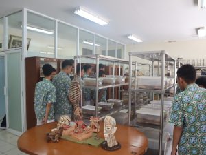 IMG 4665