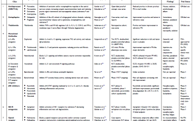 Literature Review: Recent Therapeutic Advancesin The Management of Prurigo Nodularis: From Conventional Therapy to Biologics and Targeted Small-Molecule Agents