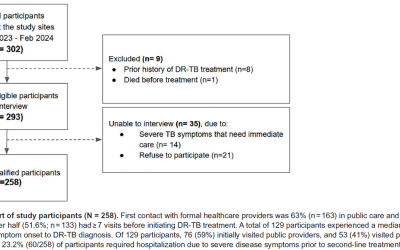 Pretreatment out-of-pocket costs for people with drug-resistant tuberculosis in Bandung, Indonesia