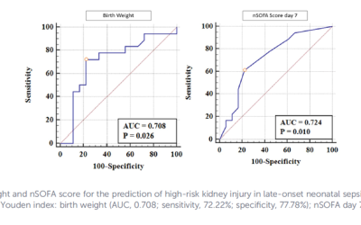 Renal resistive index and neonatal sequential organ failure assessment score as acute kidney injury risk predictors in preterm neonates with late-onset neonatal sepsis