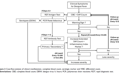 Rethinking the Kinetics of Extended WBC Differential Count and Inflammatory Index Marker in Secondary Dengue Infection: Case Report at University Hospital