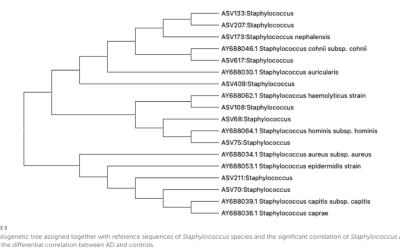 Gut microbiota profiles in pediatric atopic dermatitis and their relationship with skin microbiota: an Indonesian case-control study