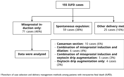 Efficacy of Vaginal Misoprostol for Labor Inductionin Intrauterine Fetal Death: A Cohort Study from West Java Largest Hospital