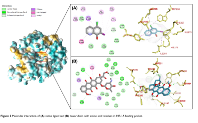 The Uncommon Coexistence of Mid-Borderline Leprosy and Generalized Pustular Psoriasis