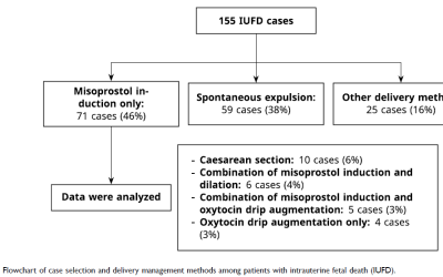 Efficacy of Vaginal Misoprostol for Labor Induction in Intrauterine Fetal Death: A Cohort Study from West Java Largest Hospital